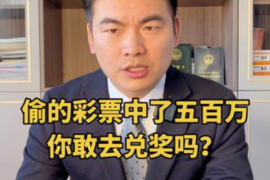 南丹为什么选择专业追讨公司来处理您的债务纠纷？